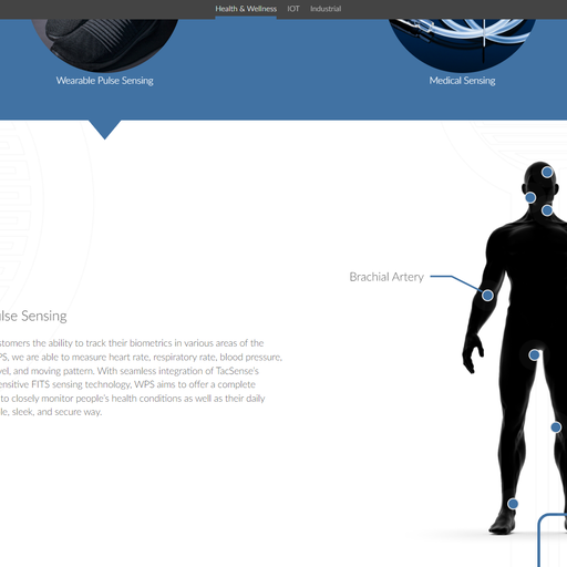 A paragraph of marketing copy appears under the heading "Wearable Pulse Sensing". Adjacent, a shadowy render of a human body is marked with blue circles at 9 major arteries. A blue line connects one of the circles to the label "Brachial Artery".