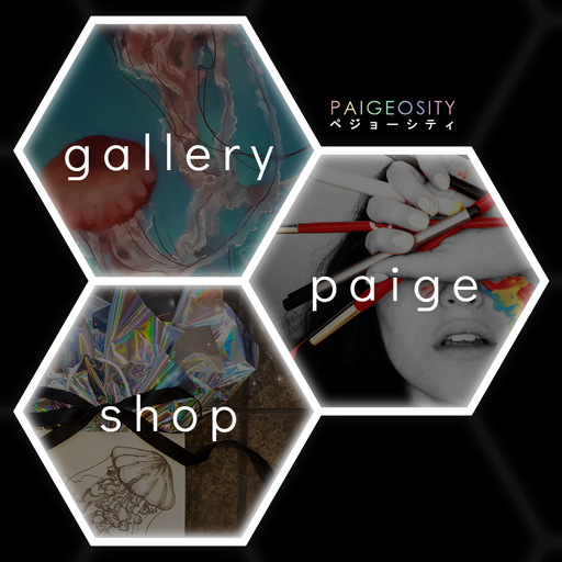 The homepage. The Paigeosity logo appears next to three prominent hexagons with thick borders and eye-catching backdrops which are labelled "gallery", "paige", and "shop".